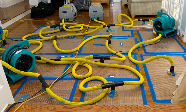 Professional Water Damage Repair technician working in Blissfield, OH