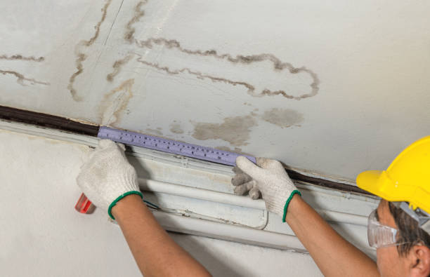 Affordable Water Damage Repair solutions in Blissfield, OH